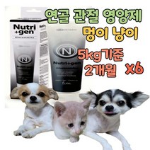 애견 관절 영양제 고양이 강아지 대형견 노령묘 노령견 노령기 글루코사민 msm 초록입홍합 피쉬 콜라겐 콘드로이친 초록잎홍합 이소플라본 연골 건강 에좋은 보조제, 6개