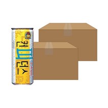 컨피던스 250ml x 60CAN