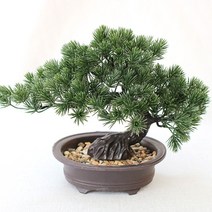 들꽃화방 플랜테리어 조화 소나무 화분 내추럴 조화나무 테라조화분 카페 사무실조화, 소나무 E