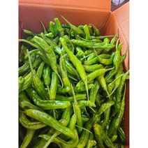 #가락시장 나물이네# 당일경매/알싸한매콤함 꽈리고추400g 1kg내외 /오후2시이전주문당일출고99%/주말 공휴일제외, 400g