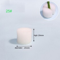 수경 재배 8 크기 메쉬 식물 성장 포트 온실 흙없는 바구니 홀더 야채 보육 컵 트레이 스폰지, 스펀지 25호