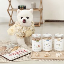 말썽쟁이여름 강아지 고양이 동결건조 야채 노니 북어 연어 치킨 트릿 간식, 노니품은 닭 60g