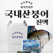 자연산붕어진액 즙 110ml x 60포 l 소화기관이 튼튼하도록 도와주는 붕어엑기스 부모님보약선물추천