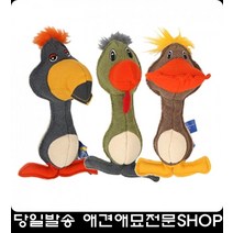 성인병예방 활동적인강아지장난감 애완동물용품점 반려견행동교정 애견교육, 그린