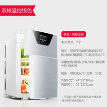 냉동고 미니 소형 냉동고듀얼 사용 차가운 Frigidaire 도어 냉장고 전기 가정용 렌탈 20L 주방, 03 Dual-core gold
