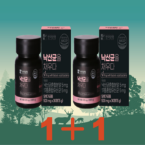 한미 낙산균 2통 500mg x 60정