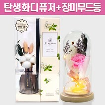 탄생화 디퓨저 선물 세트 12월 탄생화 목화 + 장미 무드등 여자 친구 여사친 엄마 언니 선생님 직장동료 생일선물 집들이선물 결혼선물 실내 디퓨저 실내 방향제 디퓨져, 튤립, 핑크, 120ML