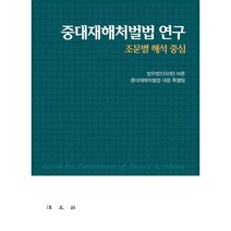 중대재해처벌법 연구 : 조문별 해석 중심, 법무법인(유한) 바른 중대재해처벌법 대응 특별팀 저, 법문사
