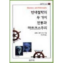 현대철학의 두 가지 전통과 마르크스주의, 갈무리, 알렉스 캘리니코스 저/정남영 역