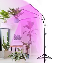 [희귀식물카페] 스마토이 스탠드형 LED 식물등 성장조명 3구 삼각대 SET, 스탠드형식물성장조명3구+삼각대 SET