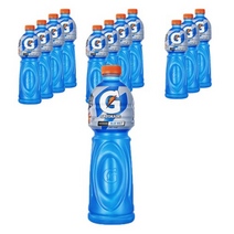 롯데칠성 게토레이 블루, 12개, 1.5L