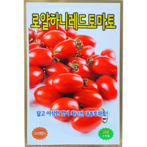 [씨앗맛집] 로얄허니레드토마토 고당도 레드 대추 방울 토마토 야채 채소 씨앗 씨 모종 종자 재배 키우기
