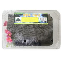 참 숯 가습기 다용도 공기 정화 탈취 요리 숯화분 참숯, 상세페이지 참조