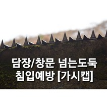 가시캡 정품] 가스관 가시 덮개 방범 보안 도둑예방 방범창대용 창턱 담장 휀스 난간 옥상 CCTV폴대 교도소 관공서 군부대 항만 공항 발전소 침입예방, 1개