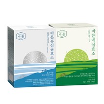 바른 매실효소 식물 유래 매실 /프로테아제/아밀라아제, 매실효소1+유산균효소1