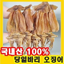 당일바리 국산 마른오징어 마른 안주 마른 건오징어, 당일바리 오징어 소 2봉10마리 (추가5%할인)