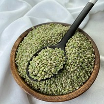 힘찬농부오달봉 2022년 햇 국산 녹미 녹진주 녹색쌀, 1포, 5kg