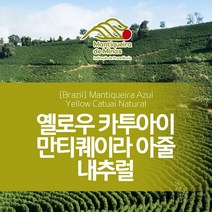 브라질 만티퀘이라 아줄 옐로우 카투아이 내추럴 커피 생두 직수입 1kg Mantiqueira, 1개