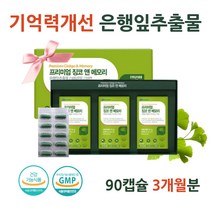징코 기억력 감퇴 개선 플라보놀배당체 은행잎추출물 혈행 혈액순환 개선제 뇌에 기억력에 좋은 음식 향상 증진 대치동 수험생 뇌 집중력 영양제 은행엽 징코플러스 두뇌