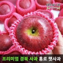 이츠올릿 경북 햇 홍로 부사 꿀 사과 5kg 정품 중대과 (13-15과) 껍질째 먹는 청송 안동 문경 장수