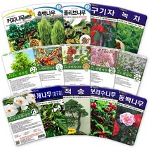 나무 씨앗 모음 각종 수목 과수 산림 조경 나무 씨 종자, 58 댕댕이나무2g, 1개