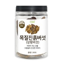 드랍쉽 목질진흙버섯(상황버섯) 80g(통), 목질진흙버섯 80g[통]