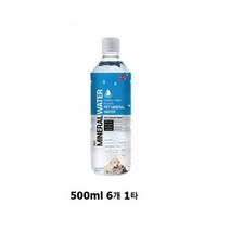 반려동물음료 바우와우 펫 미네랄 워터 500ml 6개 1타, 365바운스 본상품선택