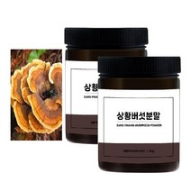 빛가람 국내산 상황버섯 분말 물 효능 100% 뽕나무상황버섯 가루 차 먹는방법 100g 2통