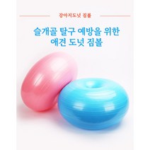 강아지 짐볼 애견 슬개골탈구 예방 펫 스쿼트 어질리티 강아지재활 운동기구, 블루
