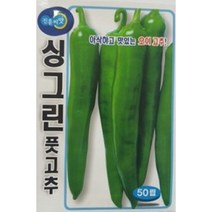 오이고추 싱그린 고추씨앗(50립)(A0186)