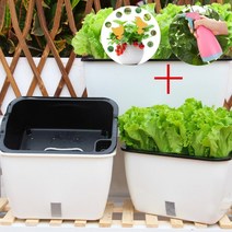자동급수화분 집에서 상추 깻잎 키우기 화분 실내 아파트베란다텃밭
