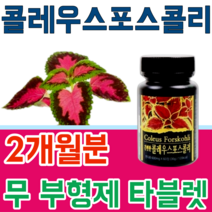 식품 안정선 검사 통과한 힐링 콜레우스 포스콜리 콜리우스 포스코리 간편하게 먹는 무 부형제 스테아린 마그네슘 이산화규소 없는 무첨가 타블렛 파는곳 추천, 2