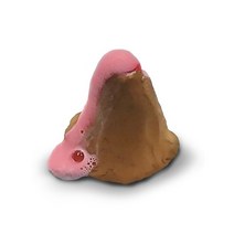 초등학교 과학교과연계 과학놀이 화산실험 용암 마그마 집콕놀이
