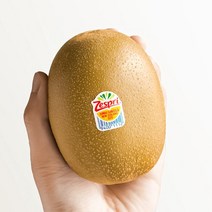 제스프리 썬골드키위 17개 총3.1kg(개별 180g내외) 스페셜박스, 3.1kg (17개), 1박스