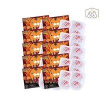 꼬꼬일상 따뜻HOT팩 붙이는 발난로 핫팩(2p), 100개