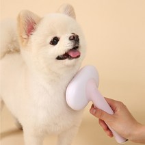 댕댕이 5in1 올인원 브러쉬 핑크 강아지 고양이브러시, 블루