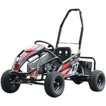 사륜자전거 삼륜자전거 자전거대여점 4륜자전거, 단일 168CC 풀스타트 가솔린 버전