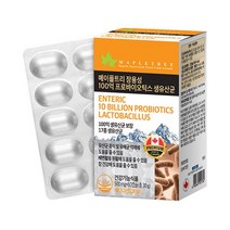메이플트리 장용성 100억 프로바이오틱스 생유산균 500mg*60캡슐(2개월분), 상세 설명 참조, 단일옵션