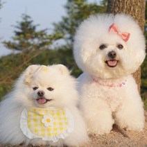 예보들 강아지 고양이 스카프 핸드메이드 턱받이 악세사리, 블루
