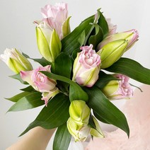 솜리플라워 겹백합 세줄기 9월 꽃 생화택배 꽃배달싼곳 화훼농가돕기
