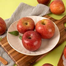 경북 산지직송 당도선별 가정용 부사사과 홍로사과 2kg 3kg 5kg 10kg, <홍로> (가정용) 2kg / 꼬마과 / 14-16과, 1개” class=”wr-img”></a></div>
</p></div>
</p></div>
</p></div>
<div class=