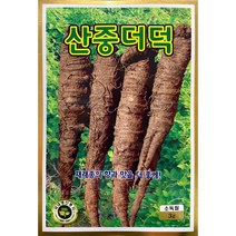 산중더덕 더덕씨앗 3g