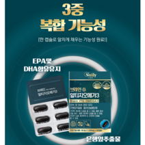 뉴일리 징코알티지오메가3 1박스 알티지오메가3 은행잎추출물 노르웨이산 정제어유 홍삼농축분말 대두레시틴, 1개
