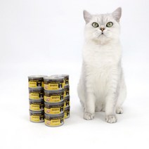 동동이네 고양이 간식 ANF 고양이캔 참치새우 95g 길냥이캔 통조림 영양성분 좋은 주식 사료캔 24개