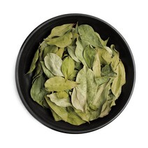 [동광한방몰] 구아바잎/국내산 6kg(짝), 1box, 6kg