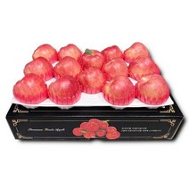 [별담농] 아침이슬사과 명절 선물세트 5kg 중소과(18-20과)