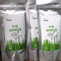 당뇨에 좋은 혈당 관리 미네랄 바나둠 새싹 보리 분말 가루 유기농 파우치형 110g, 1개