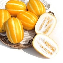 [당도보장 100%] 14Brix 이상 아삭아삭 고당도 성주참외 고당도 꿀참외 로얄과 중소과, 참외 2kg 중소과 (10과내외) / 개별 망포장
