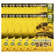 인터팜 마누카 프로폴리스캔디 10정 목캔디 시원한사탕, 10개, 4.2g