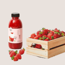 복음자리 과육이 씹히는 진심의 딸기청, 01 딸기청580g 1병